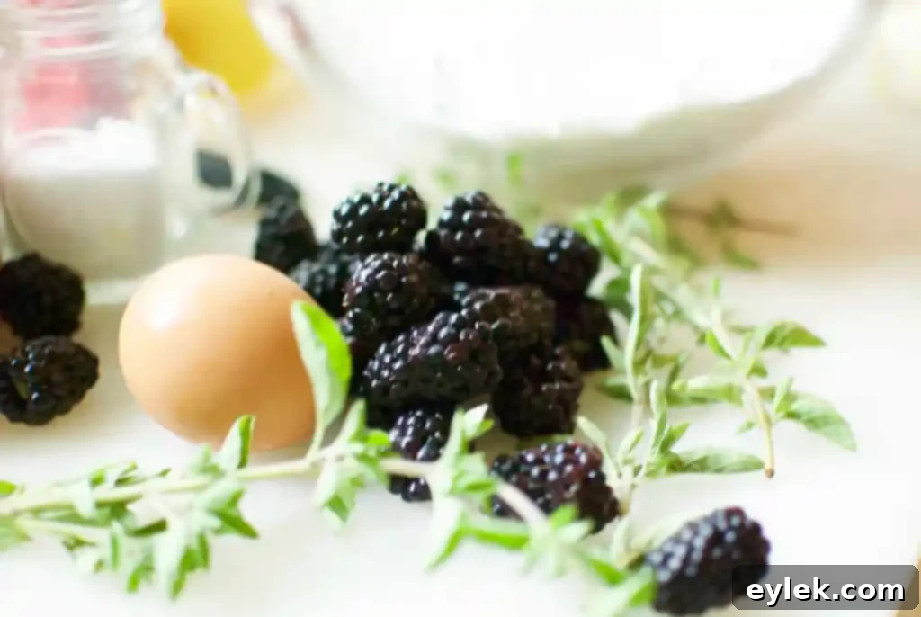 Delicious Blackberry, Lemon & Thyme Muffins with crumble topping