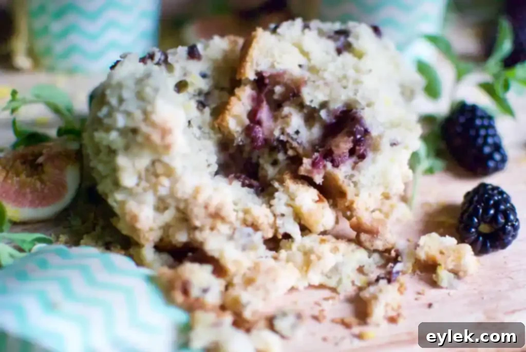 A single Blackberry, Lemon & Thyme Muffin on a plate