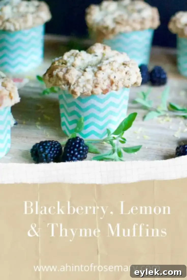 Blackberry, Lemon & Thyme Muffins, beautifully presented