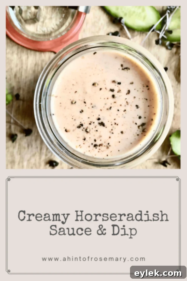 Creamy Horseradish Sauce & Dip