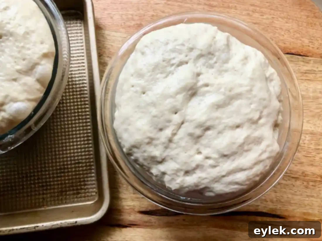 everyday no-knead peasant bread dough ready for oven