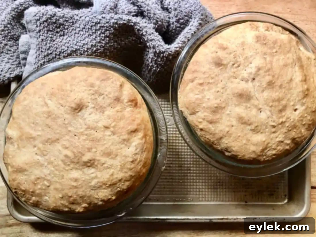everyday no-knead peasant bread finished loaves