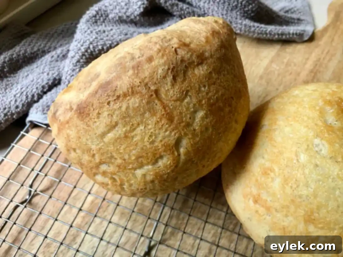everyday no-knead peasant bread cooling