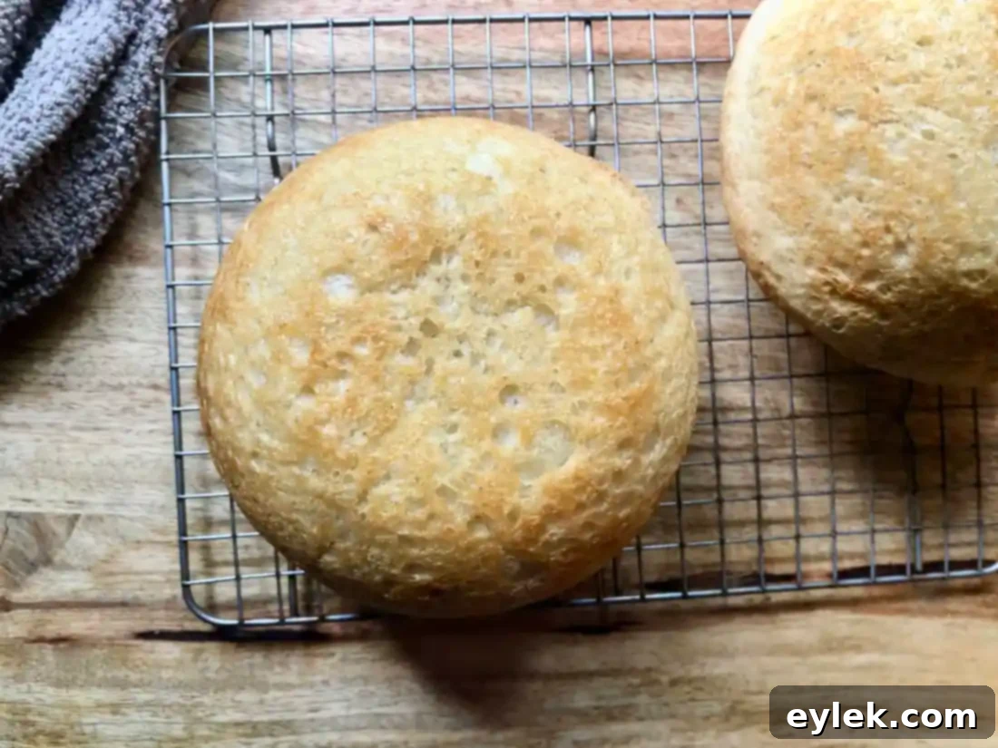 everyday no-knead peasant bread sliced