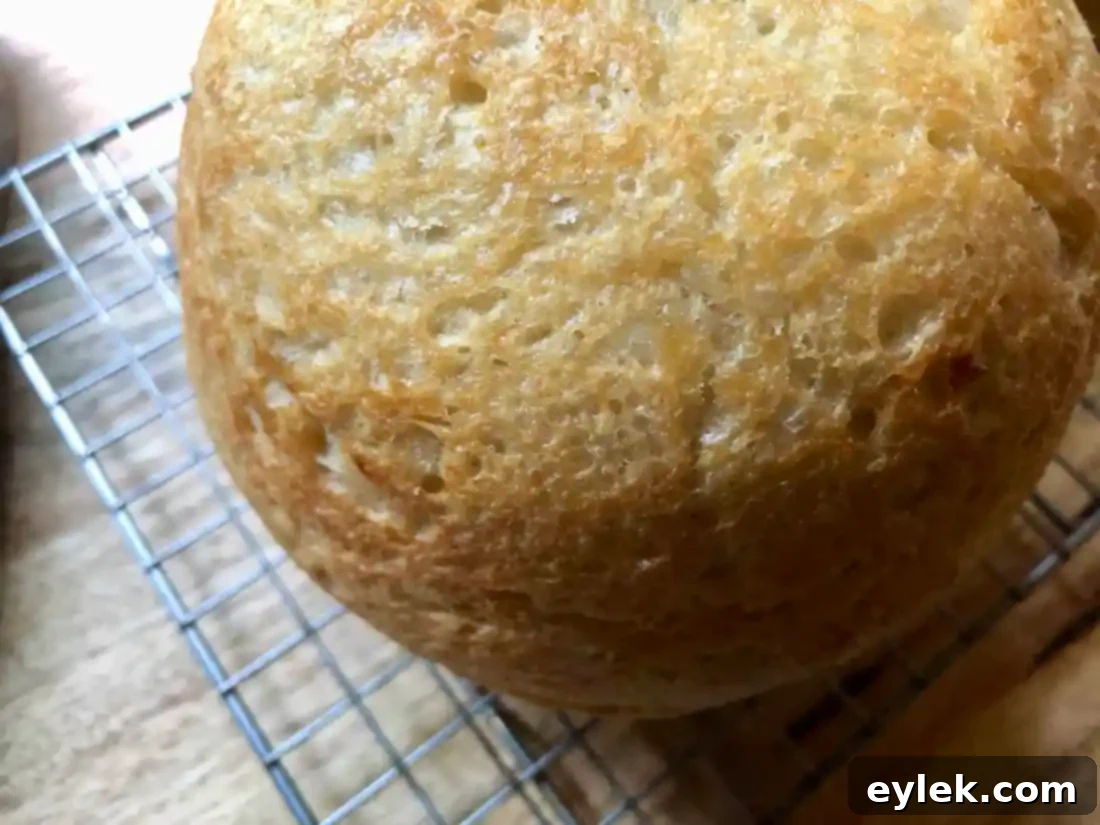 everyday no-knead peasant bread interior