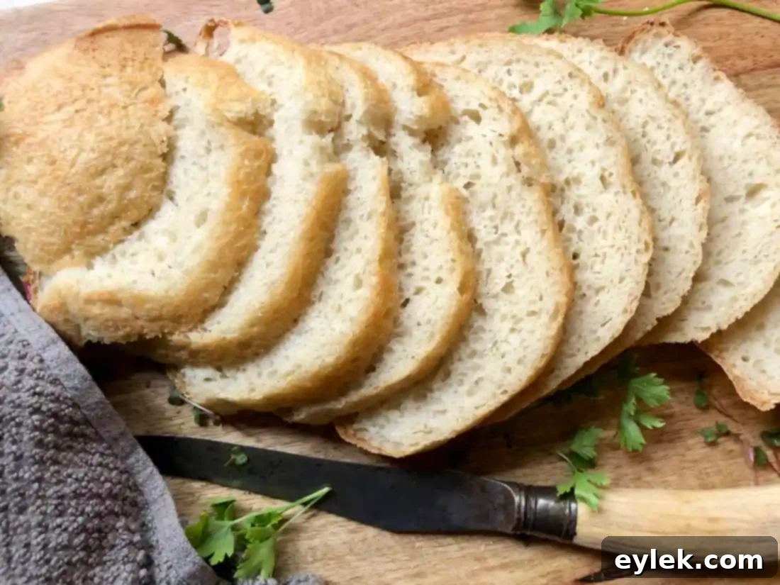 everyday no-knead peasant bread sandwich