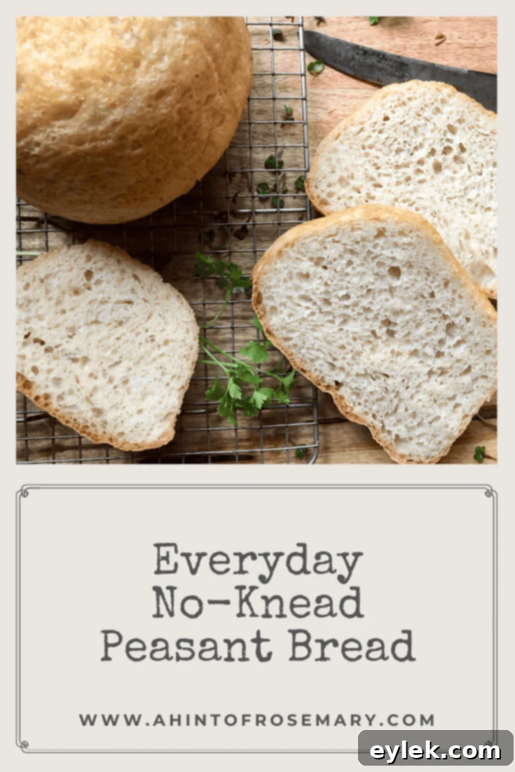 Everyday No-Knead Peasant Bread final product
