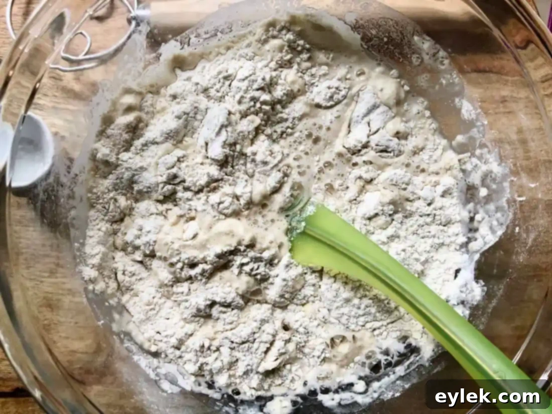 everyday no-knead peasant bread mixing dry ingredients