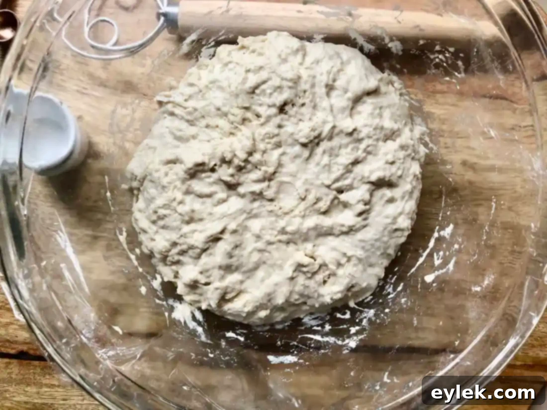 everyday no-knead peasant bread dough before first rise
