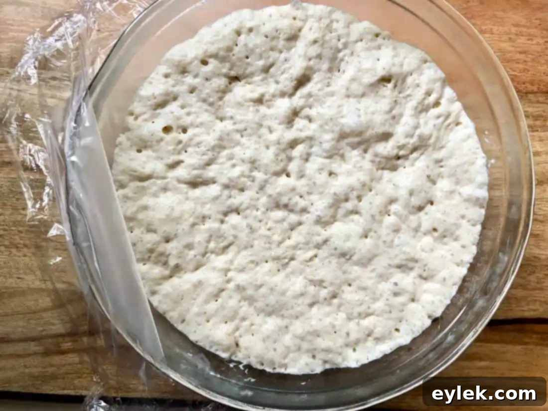everyday no-knead peasant bread dough after first rise