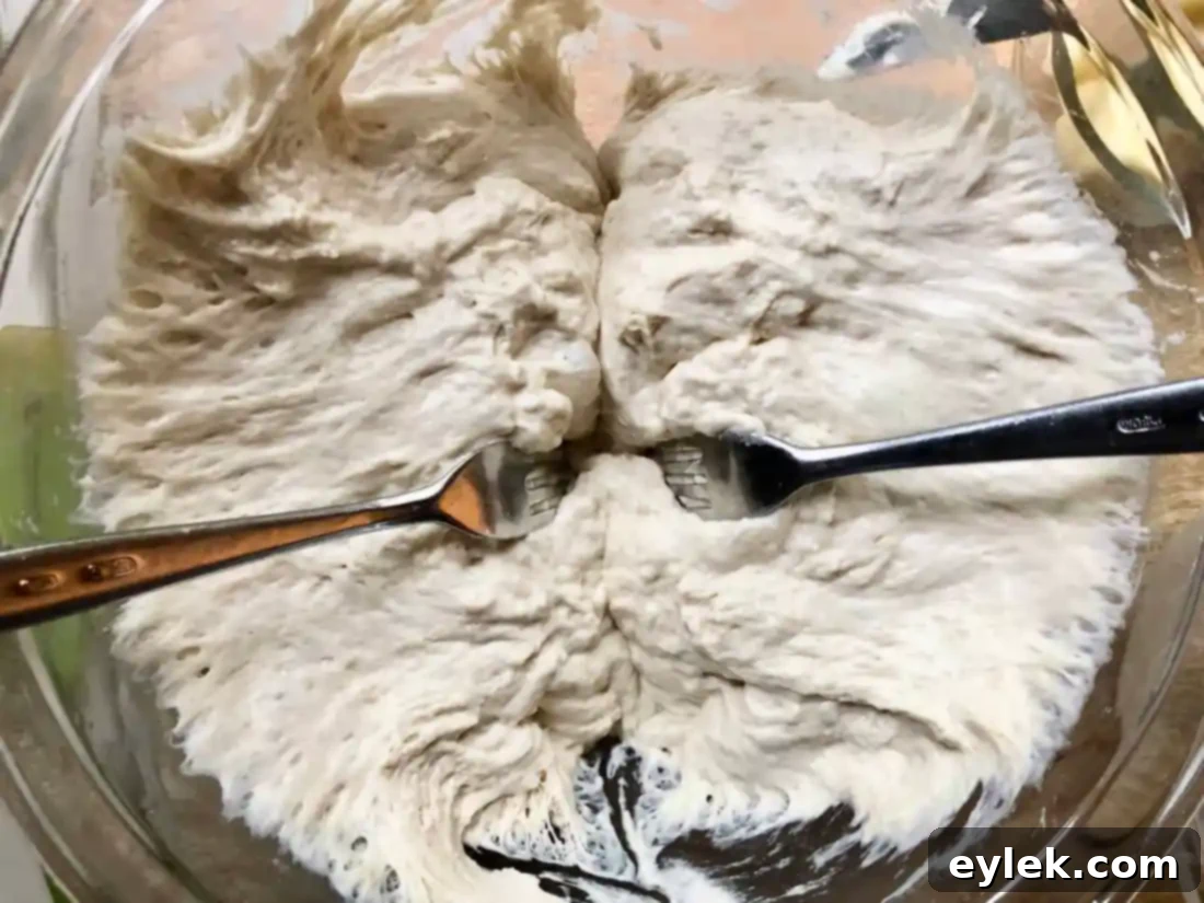 everyday no-knead peasant bread dividing dough