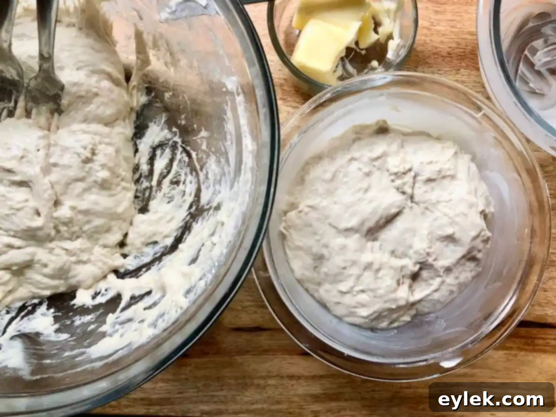 everyday no-knead peasant bread dough in bowls