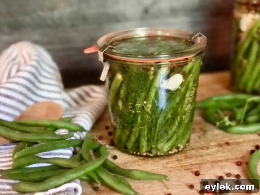 refrigerator pickled green beans