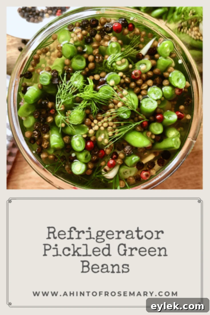 Refrigerator Pickled Green Beans