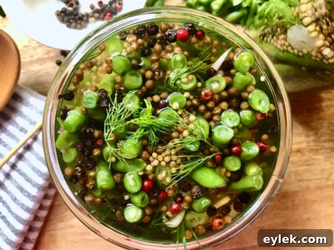 refrigerator pickled green beans