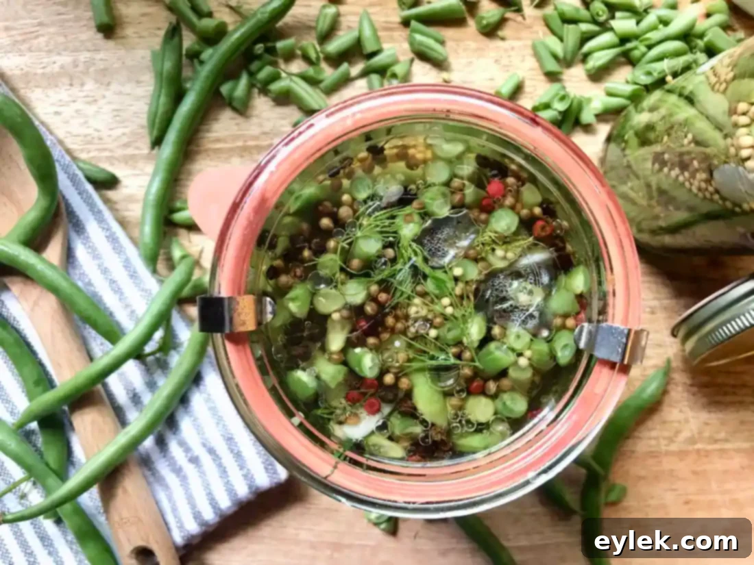 refrigerator pickled green beans