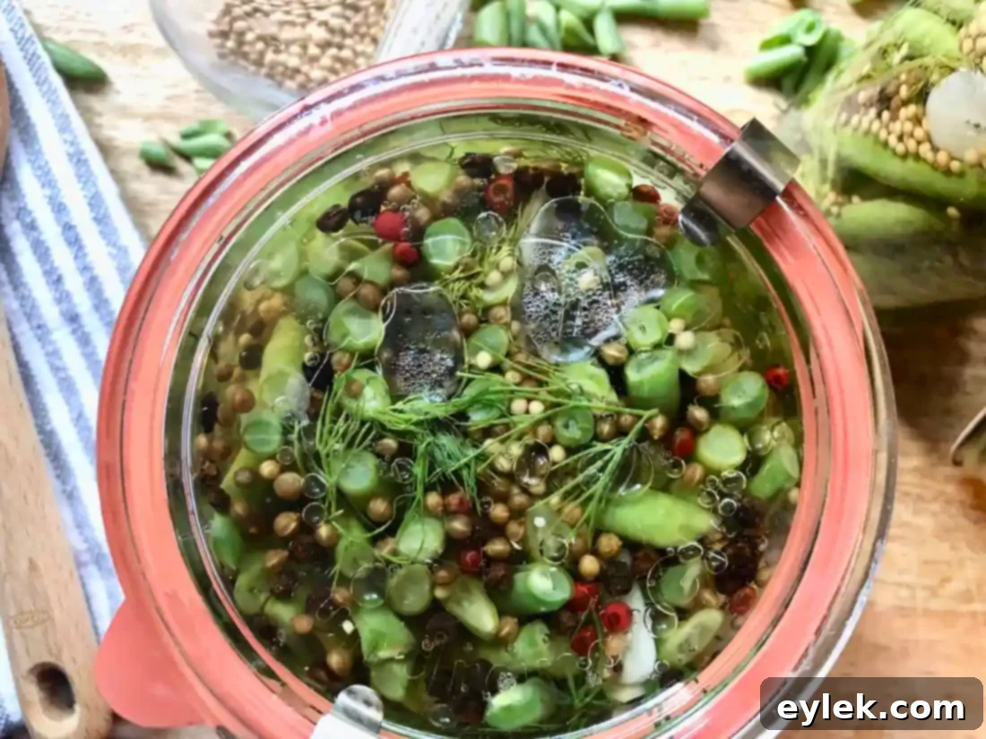 refrigerator pickled green beans