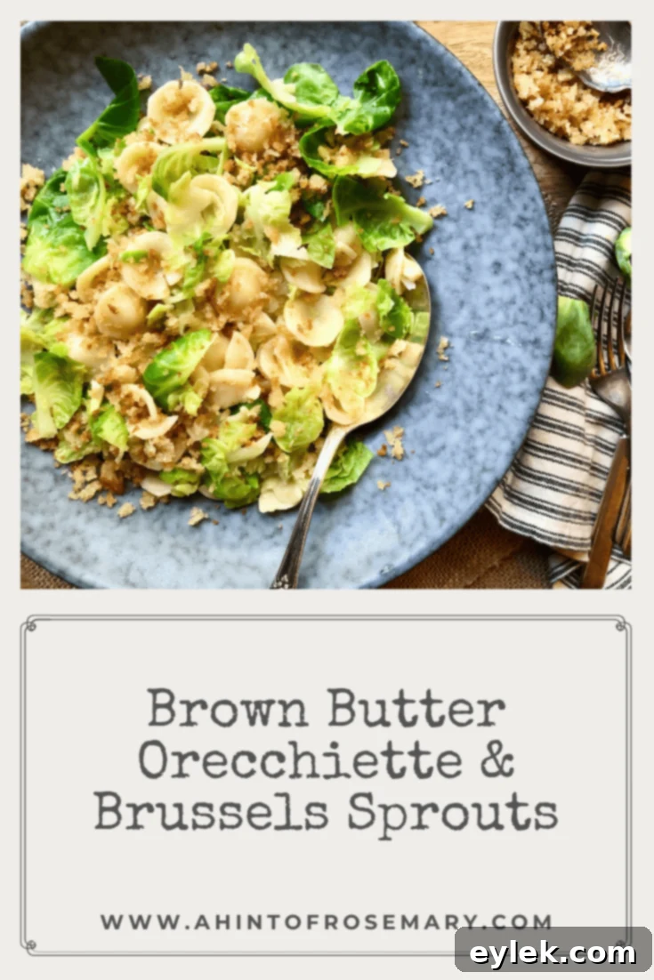 Brown Butter Orecchiette & Brussels Sprouts with fresh breadcrumbs, a comforting and flavorful dish.