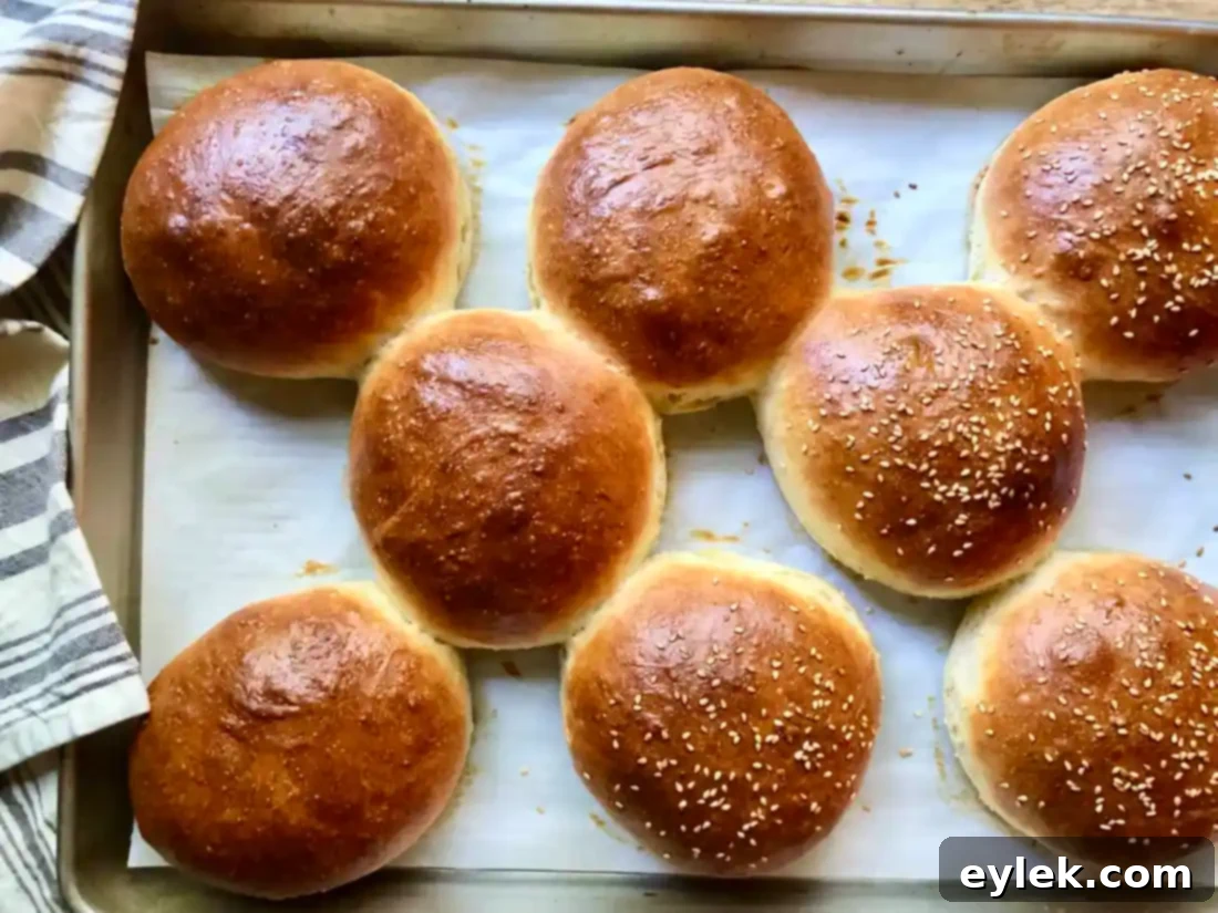 baked easy brioche sandwich rolls