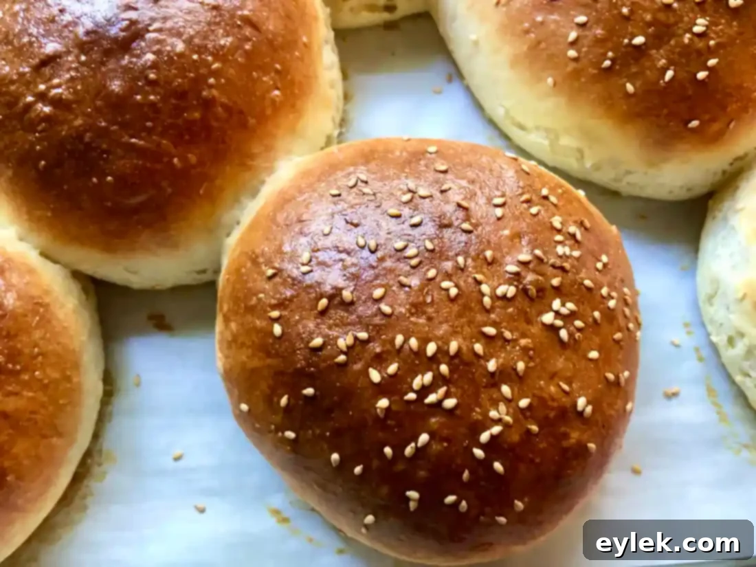 easy brioche sandwich rolls cooling