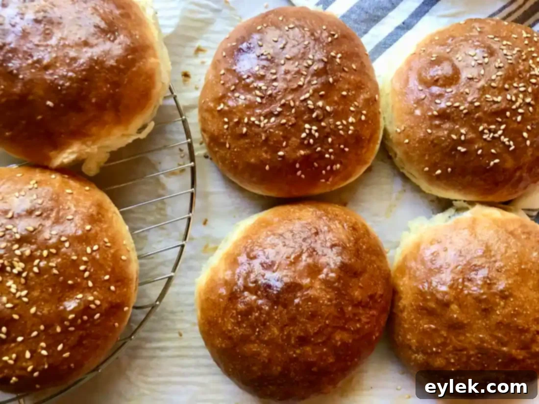 easy brioche sandwich rolls ready to eat