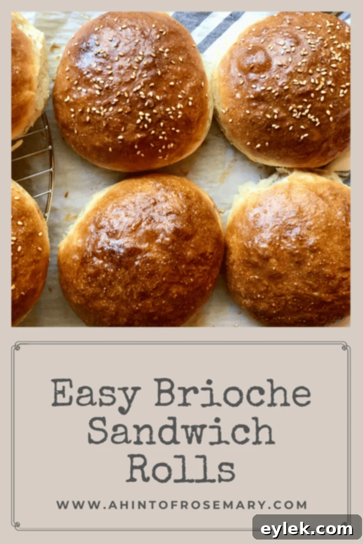 Easy Brioche Sandwich Rolls recipe card image