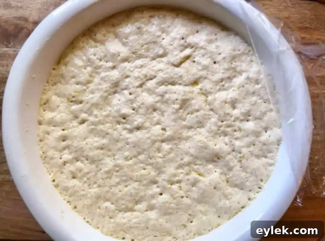 easy brioche sandwich rolls dough risen