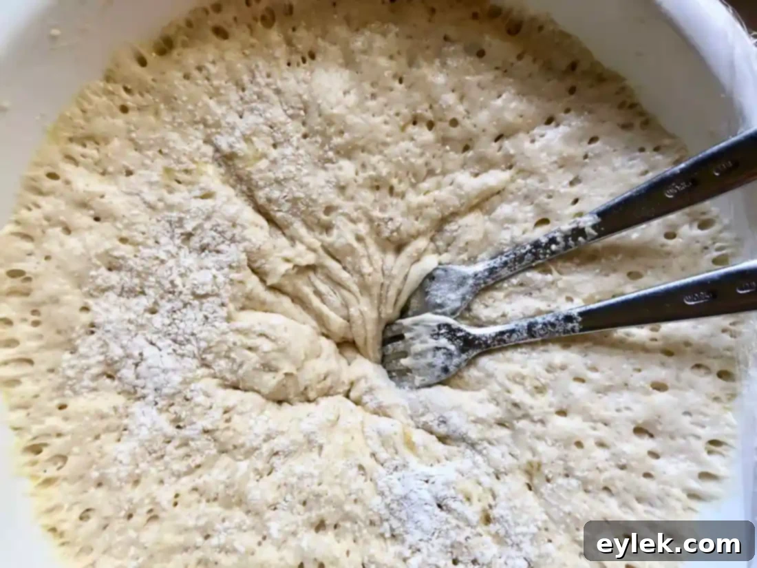 easy brioche sandwich rolls dough closeup
