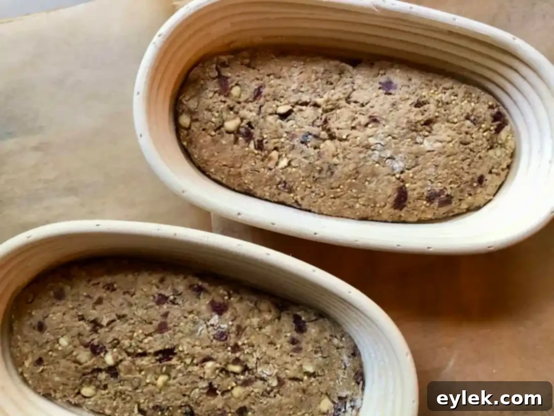 hearty whole grain & hazelnut boule