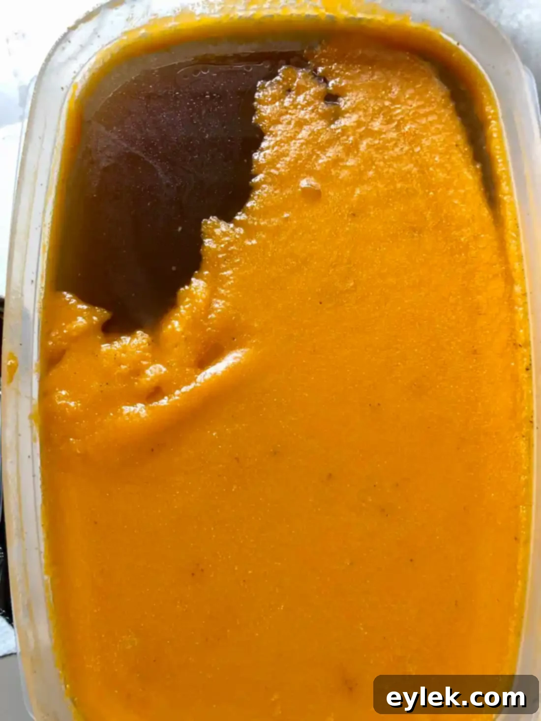 Chilled Homemade Beef Stock