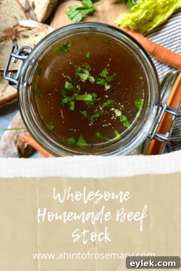 Wholesome Homemade Beef Stock Infographic
