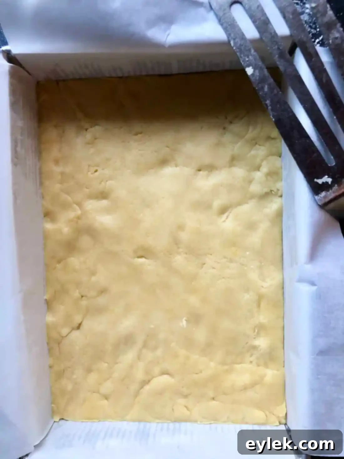 polish apple cake squares