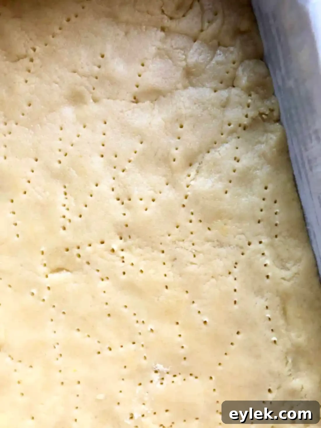 polish apple cake squares