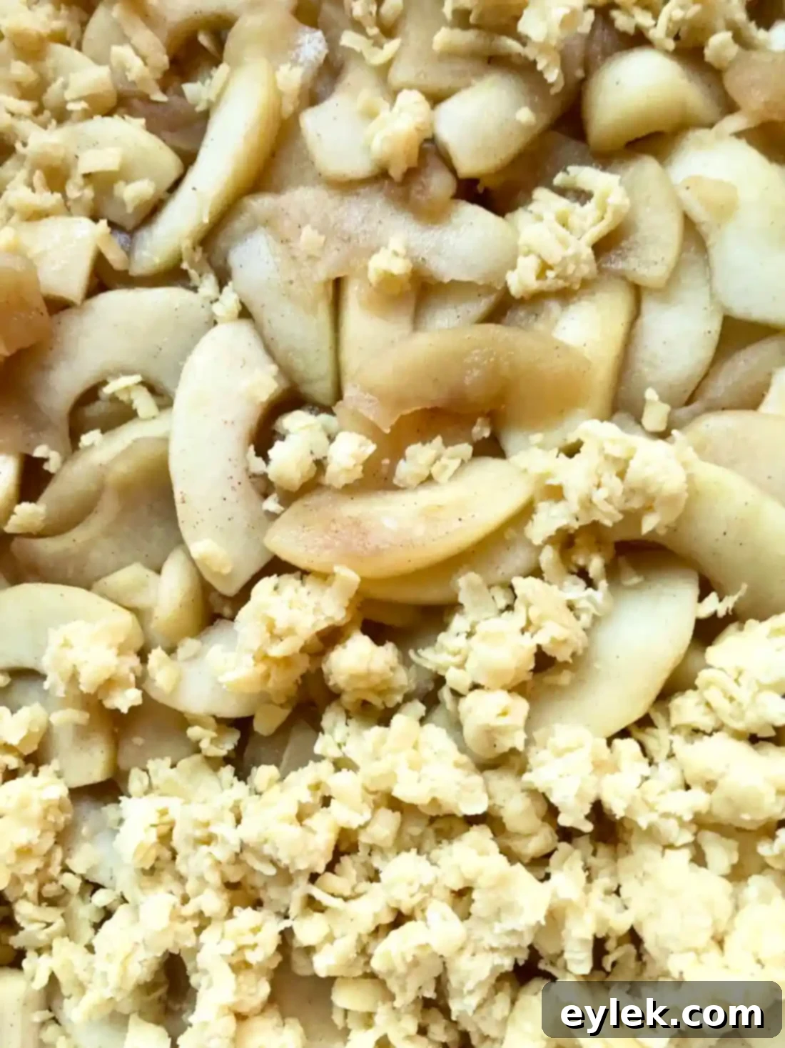 polish apple cake squares