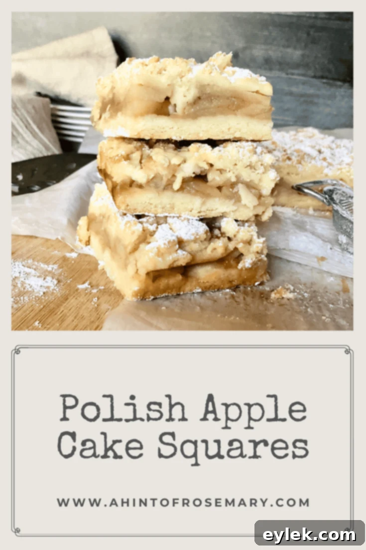 Polish Apple Cake Squares