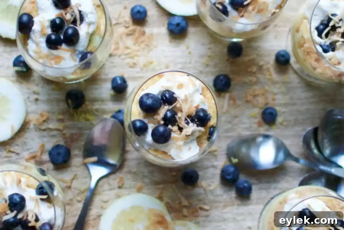 lemon curd mousse with blueberries