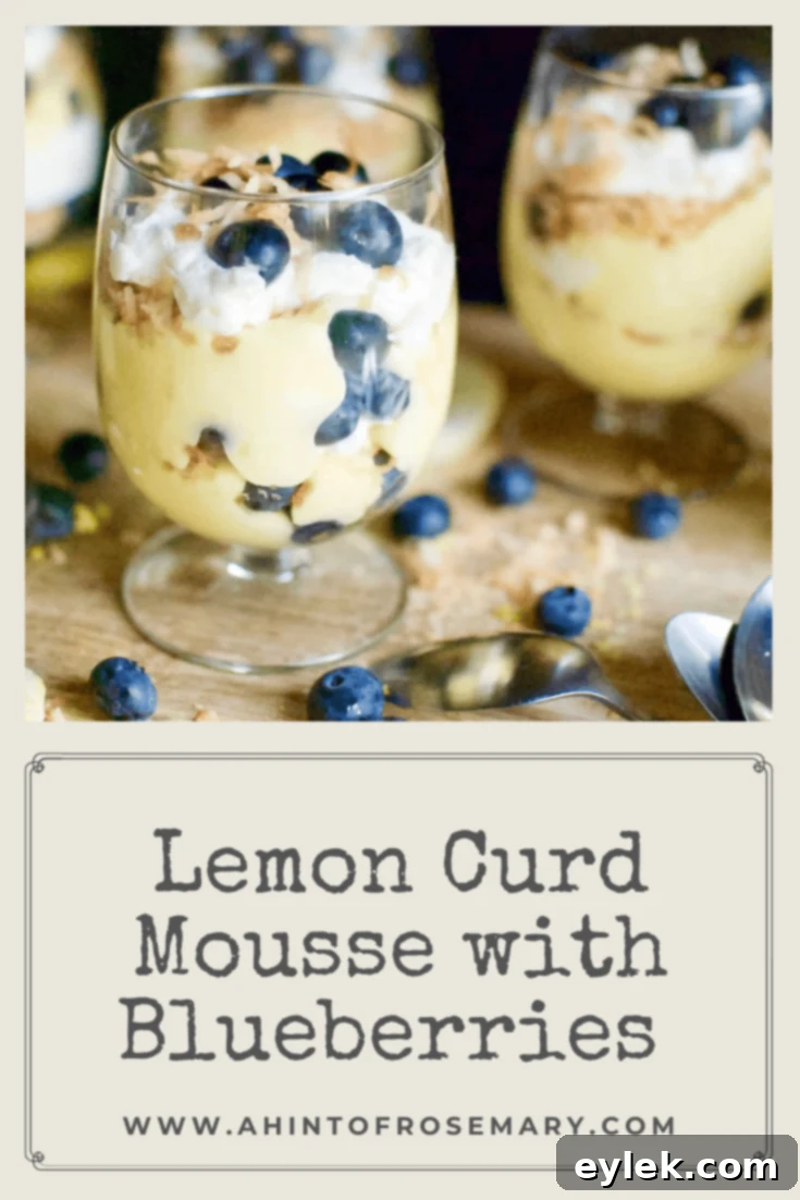 Lemon Curd Mousse with Blueberries