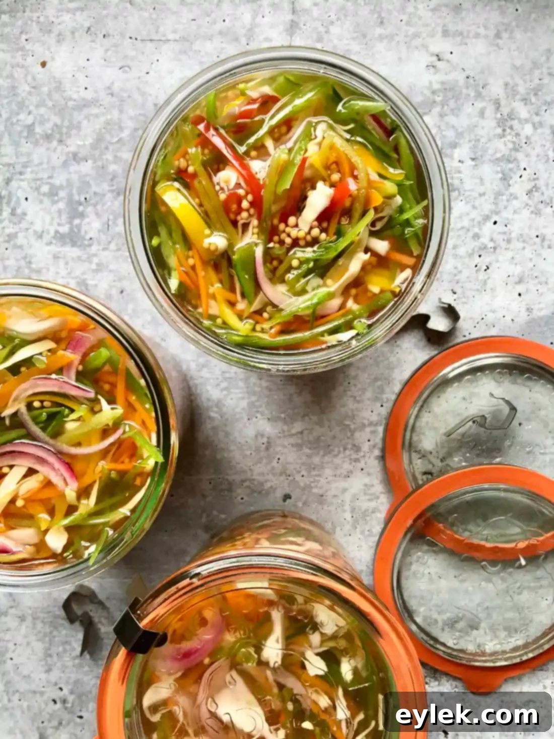 pickled vegetable sandwich slaw