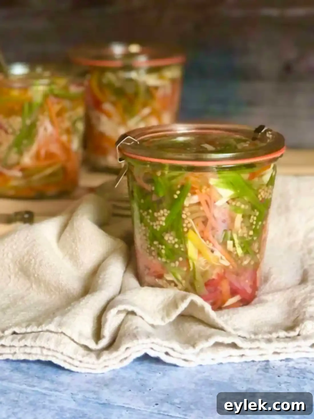 pickled vegetable sandwich slaw