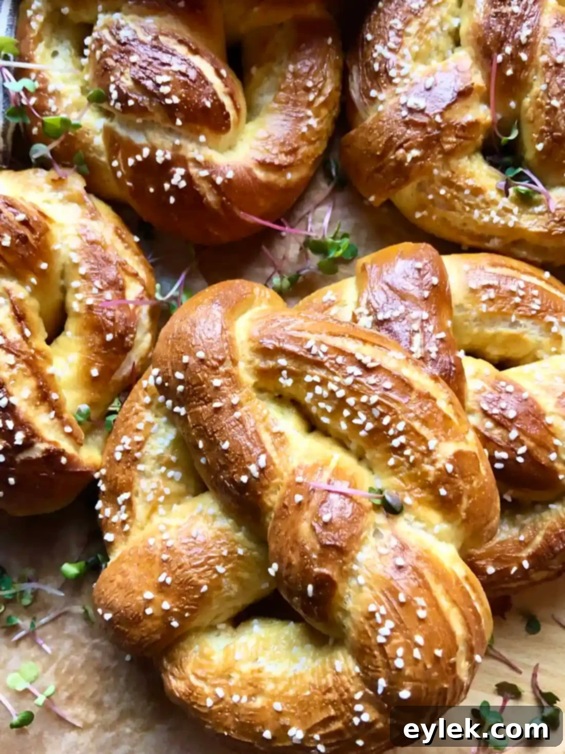 Quick and Easy Homemade Soft Pretzels 16 Close-up of a perfectly textured homemade soft pretzel