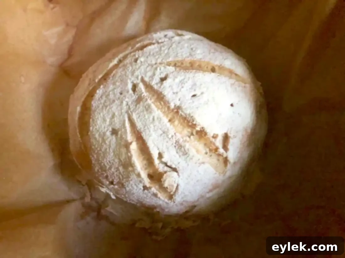gluten-free artisan bread gluten-free artisan bread
