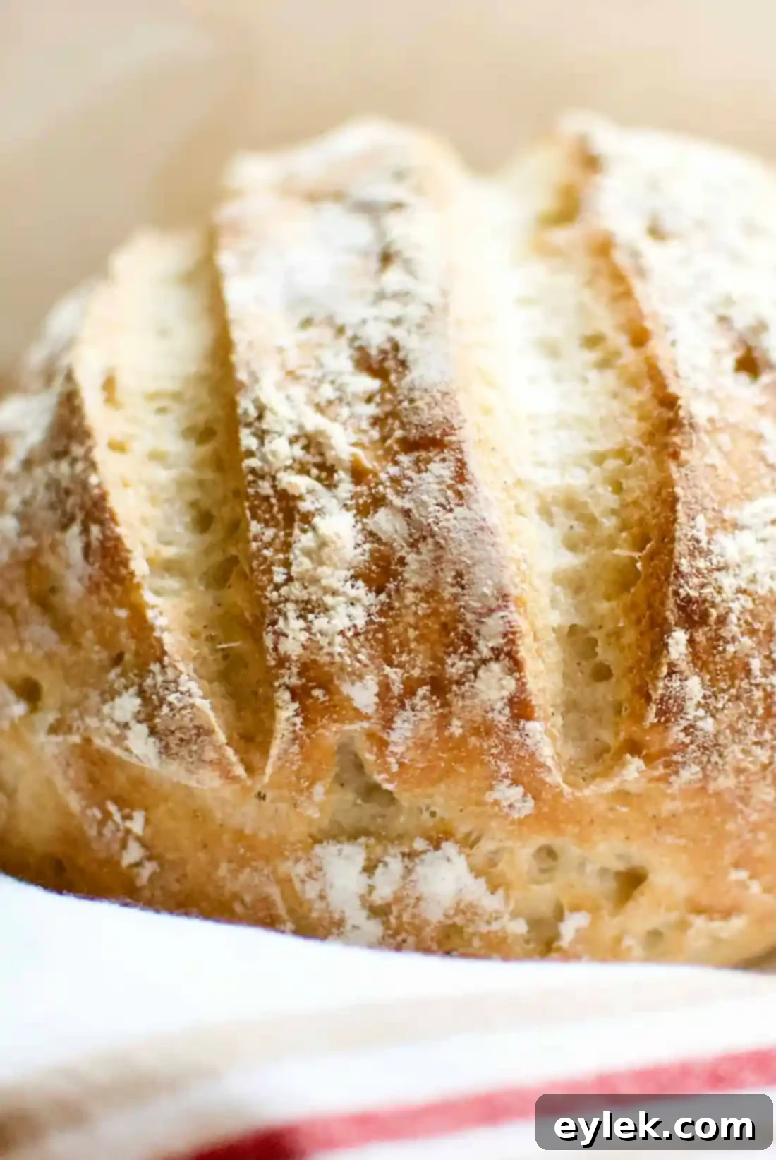 Handcrafted Gluten-Free Loaf 5 Gluten-Free Artisan Bread