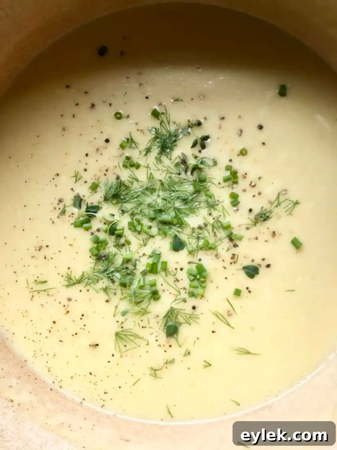 cheesy potato & leek soup