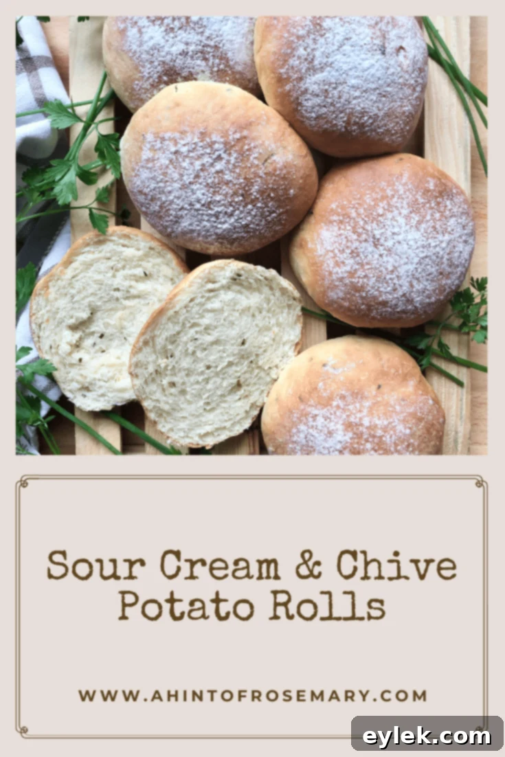 Sour Cream & Chive Potato Rolls
