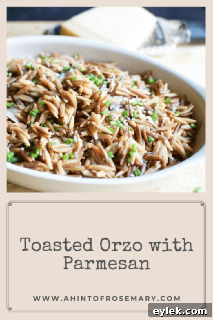 Toasted Orzo with Parmesan