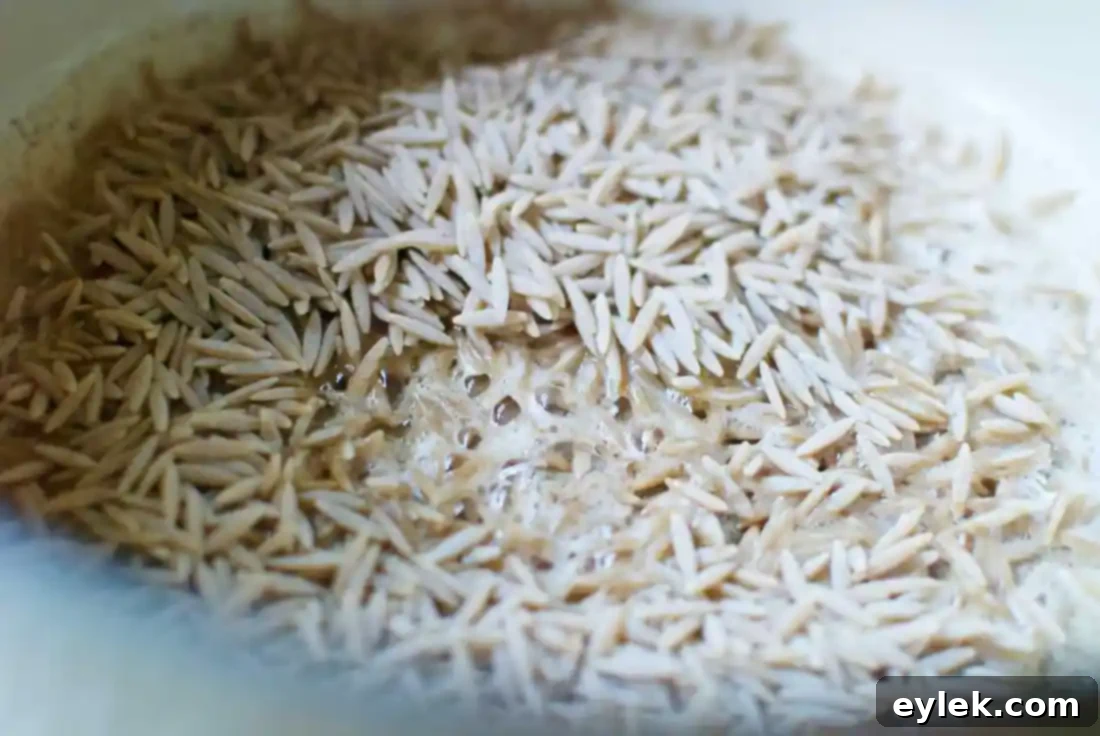toasted orzo with parmesan