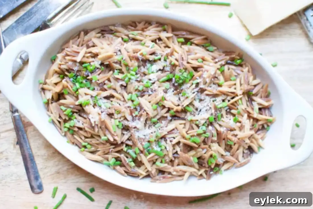 toasted orzo with parmesan