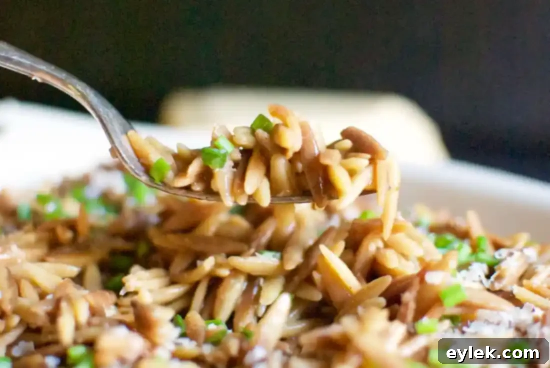toasted orzo with parmesan
