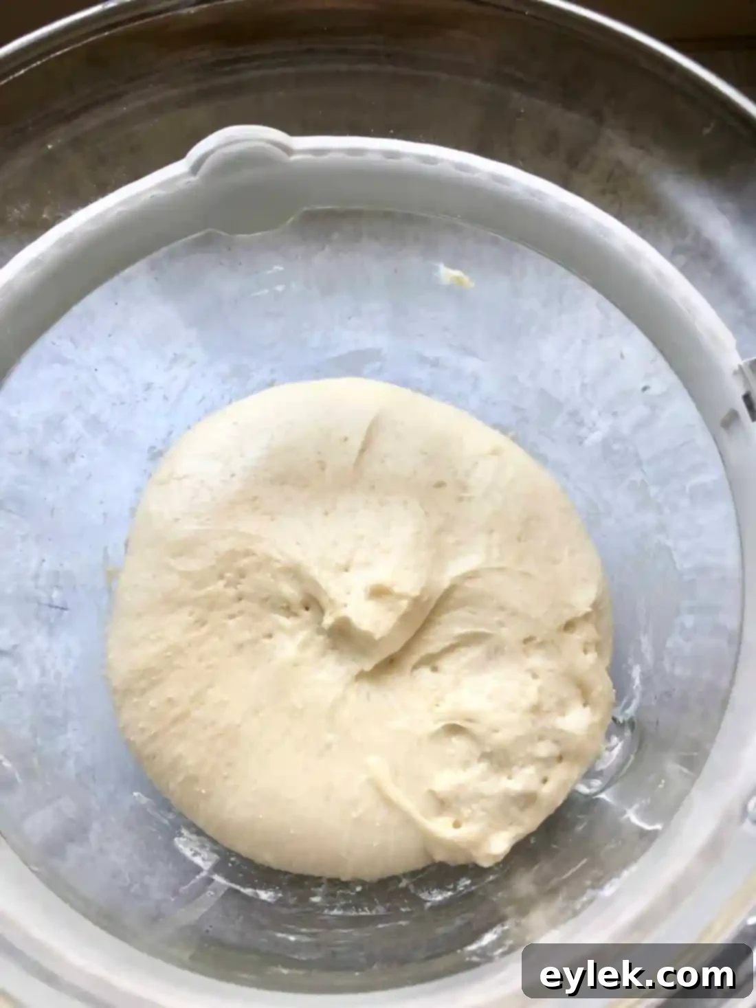 Dough after first proofing