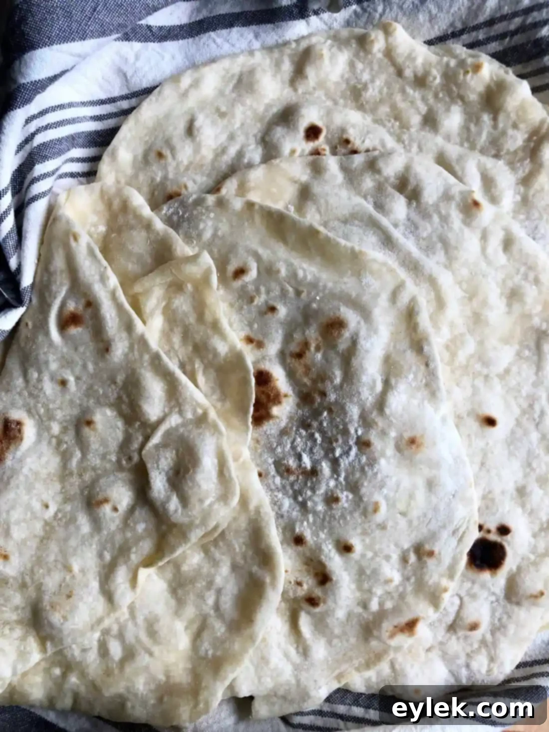 authentic homemade flour tortillas rolled out